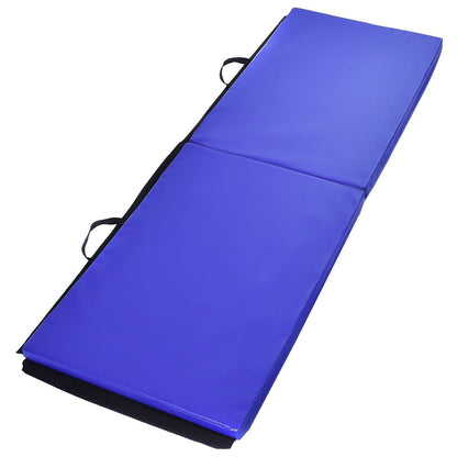 Tapis De Sol Gymnastique Tapis De Yoga Natte De Gym Matelas Fitness Pliable Portable Violet/Bleu